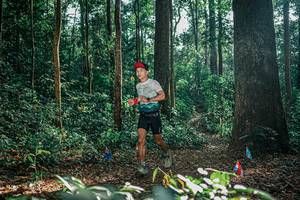 BIB: 
                            <button type="button" onclick="openModal(26070445)" class="btn btn-primary btn-sm float-right btn-popup" data-toggle="modal" data-target=".modal-high-quality">
                        <i class="fas fa-shopping-cart"></i> Add to Cart
                    </button>
                                            <button type="button" onclick="isThisMe(26070445, true)" class="btn btn-success btn-sm float-right btn-popup btn-isme hidden" data-toggle="tooltip" data-placement="bottom" title="นี่คือรูปของคุณใช่ไหม คลิกที่นี่เพื่อเอาเข้าอัลบั้ม">
                        <i class="fas fa-plus"></i> Add to album
                    </button>
                    <button type="button" onclick="isThisMe(26070445, false)" class="btn btn-warning btn-sm float-right btn-popup btn-isnotme hidden">
                        <i class="fas fa-ban"></i> Remove from album
                    </button>